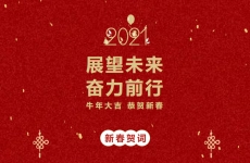 展望未來 奮力前行丨金正環保2021年新春賀詞