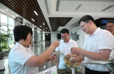 一繩一艾寄安康，奮斗逐浪正當時——金正環保的端午時刻